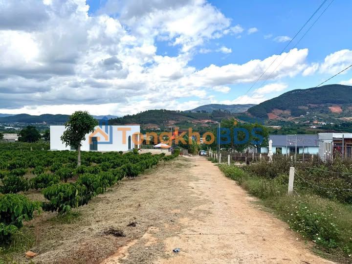 Đất Nền 260m² Nam Ban, Lâm Hà - Sổ Đỏ Thổ Cư 100m² - Giá Chỉ 680 Triệu