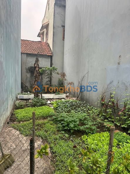 Đất thổ cư Trạm Trôi, Hoài Đức 41.2m² sổ hồng nở hậu - Giá 4.1 tỷ