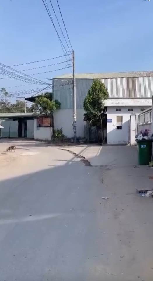 Nhà Mặt Tiền Khánh Bình 94m² - Giá 2.2 Tỷ, Sổ Hồng Riêng