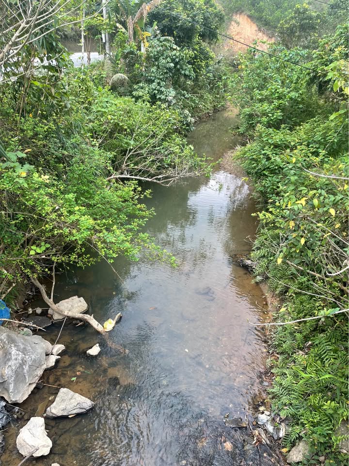 Đất nền Thống Nhất, Hạ Long 2700m² - Sổ đỏ sẵn sàng, giá đầu tư hấp dẫn!