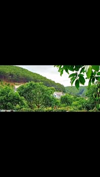 Đất Vườn Mê Linh 716m² - Thiên Đường Nghỉ Dưỡng Cách Đà Lạt 25 Phút