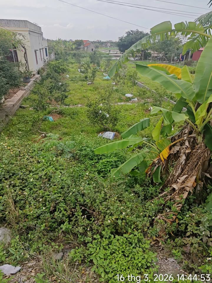 Đất Vàng QL21A Hải Hậu 395m² - Kinh Doanh & Đầu Tư Sinh Lời