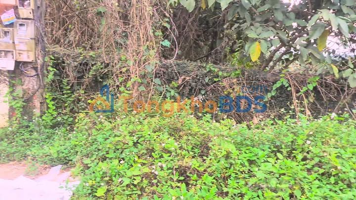 Đất Vườn Hòa Sơn 1580m² - View Đồng Ruộng, Ao Cá, Vườn Cây Ăn Quả