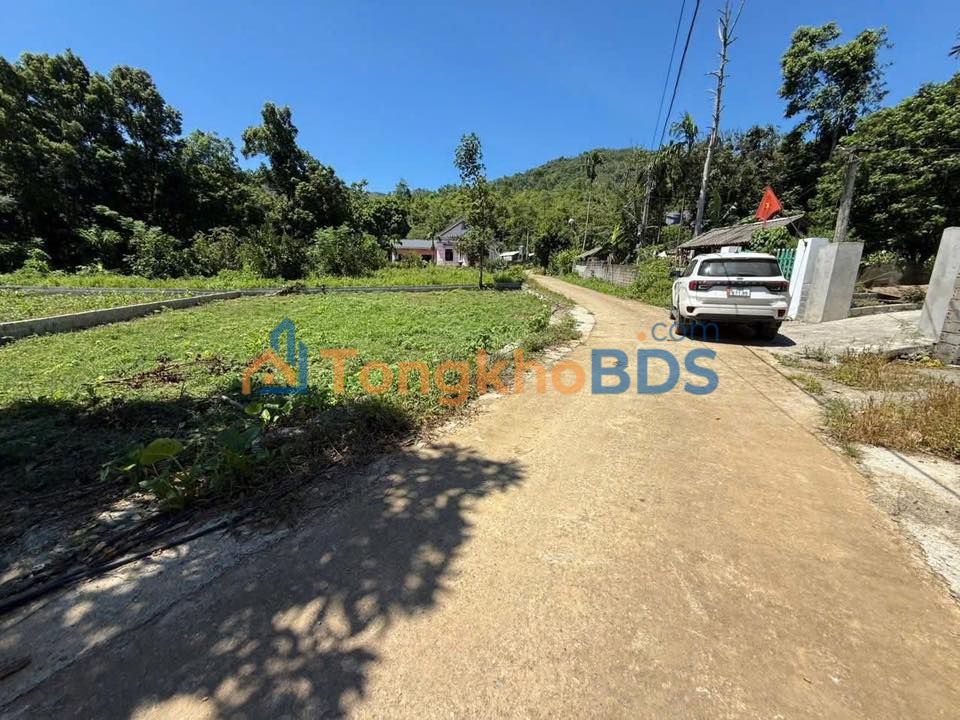 Đất Nền Phú Thọ 311m² - Mặt Tiền 30m, Giá 1.5 Tỷ, Sẵn Sổ Đỏ