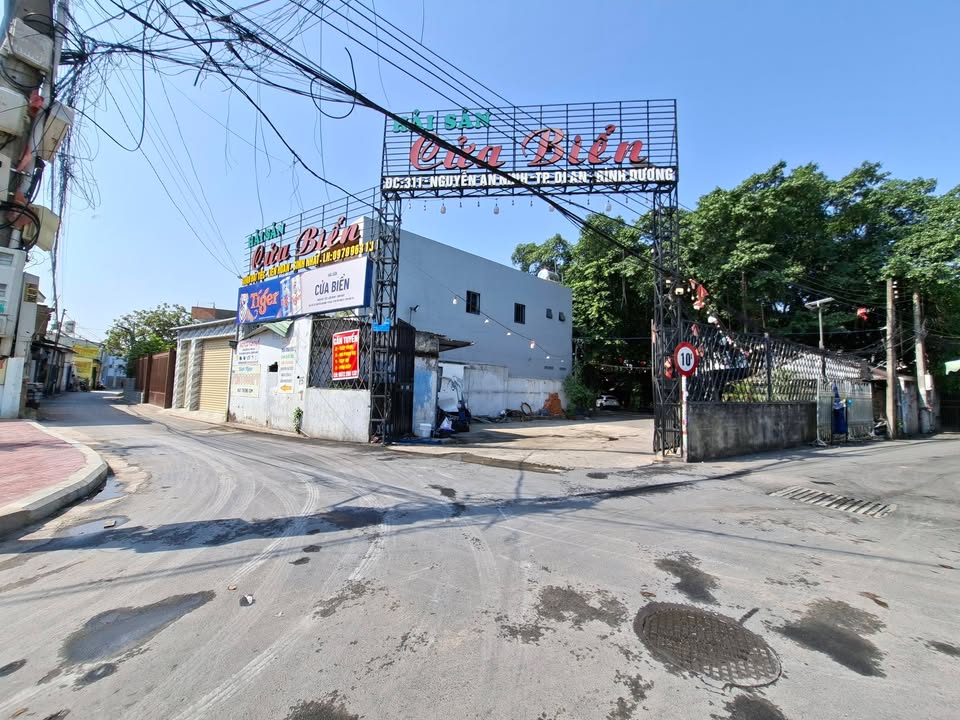 Đất Vàng Dĩ An 310m² Mặt Tiền Nguyễn An Ninh - Giá 15.5 Tỷ