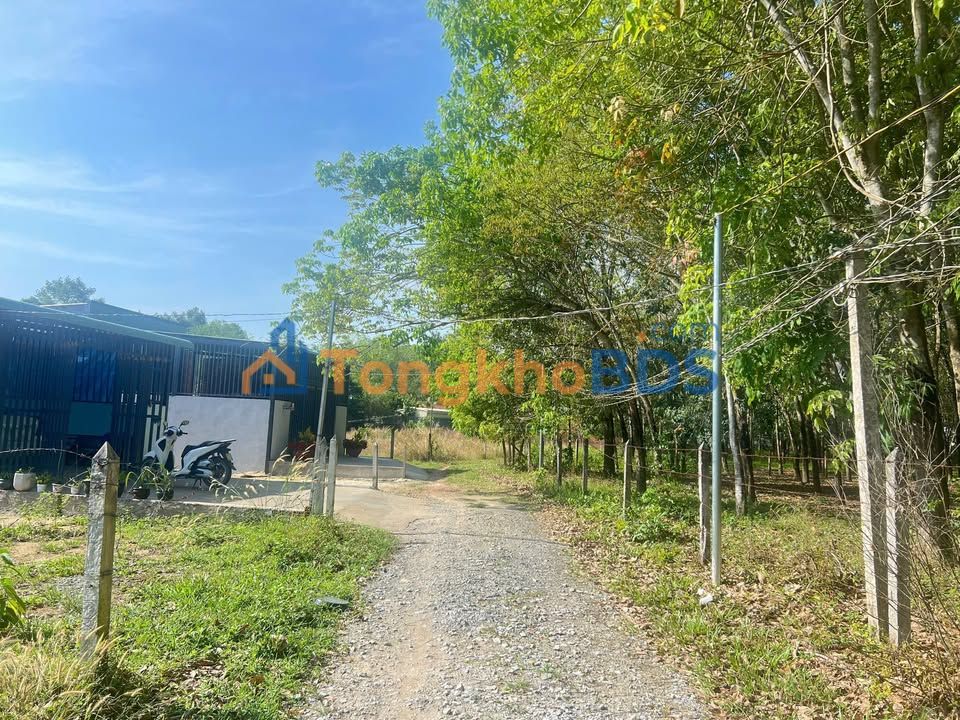 Đất Nền Phú An - Bến Cát 120m² Sổ Hồng Sẵn Sàng - Giá Đầu Tư 900 Triệu