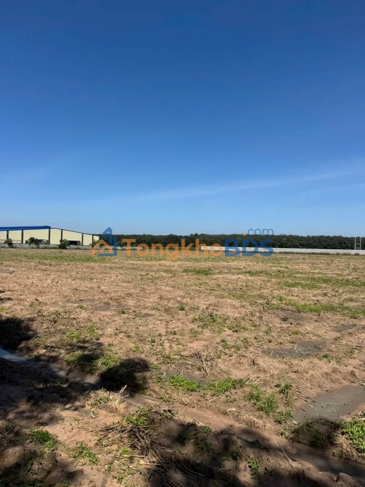 Bán Gấp Đất SKC 15.000m² Mặt Tiền Đường Nhựa Gò Dầu, Tây Ninh - 55 Tỷ
