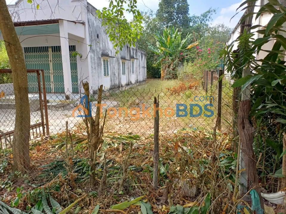 Đất Nền Thổ Cư 696m² Phú Giáo, Bình Dương - Giá 1.95 Tỷ