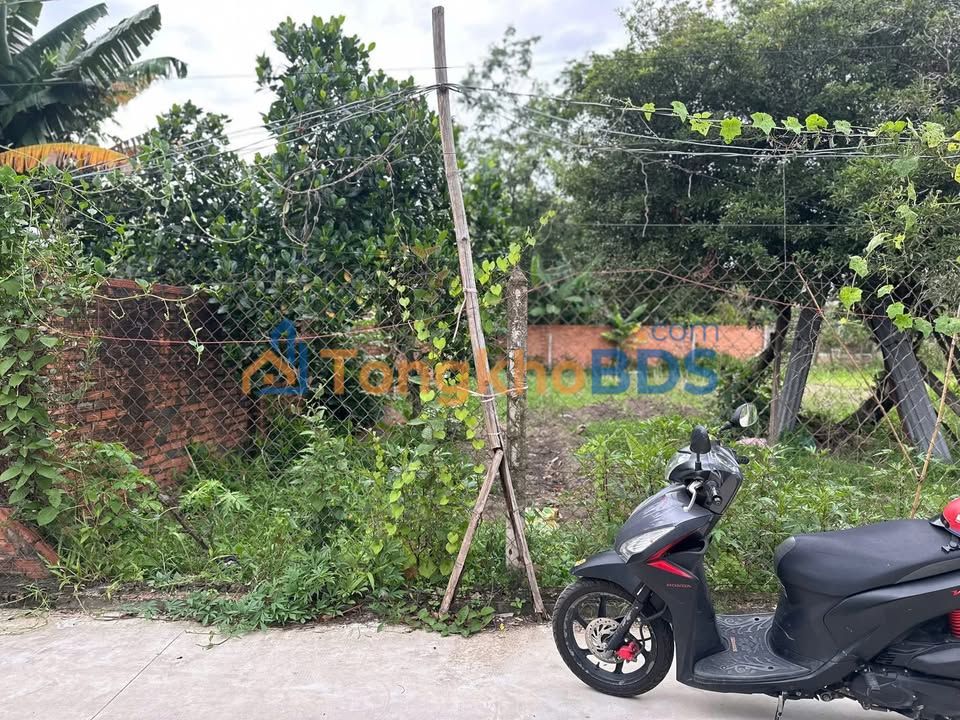 Đất Nền Phú An Bến Cát - 136m² Thổ Cư, Giá 1.3 Tỷ - Sổ Hồng Sẵn Sàng