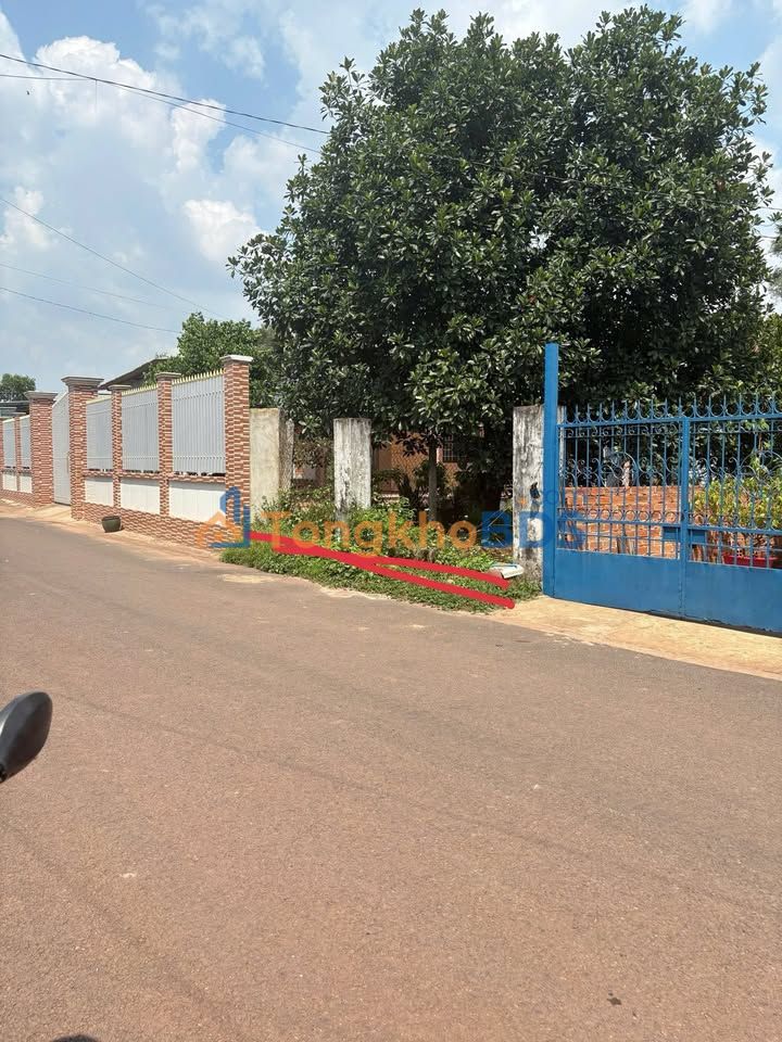 Đất Nền Mặt Tiền Đường 7m, Tương Bình Hiệp, Thủ Dầu Một - 98.9m² Giá 1.19 Tỷ