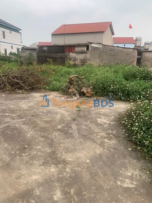 Đất Lương Phong - Hiệp Hòa 111.6m² - Sổ Đỏ Rõ Ràng, Giá Đầu Tư