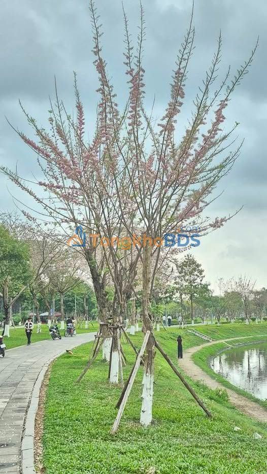 Cho thuê nhà 6 tầng Kinh Bắc, Bắc Ninh - 9PN, thang máy, kinh doanh tốt