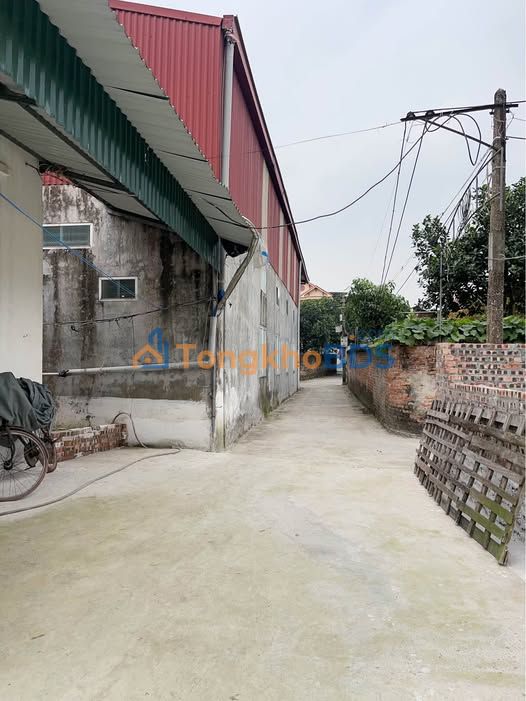 Đất nền Ninh Xá, Thuận Thành 135m² - Sổ đỏ sẵn sàng, giá chỉ hơn 2 tỷ