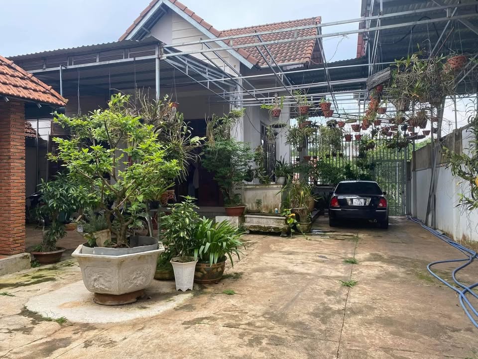 Cho thuê nhà mặt tiền QL27, Đắk Lắk - Kinh doanh sầm uất, giá tốt