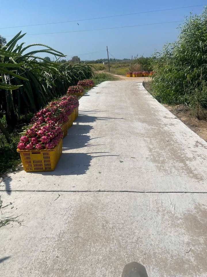 Đất Vườn Hàm Chính 4300m² Sổ Riêng - Đầu Tư Sinh Lời