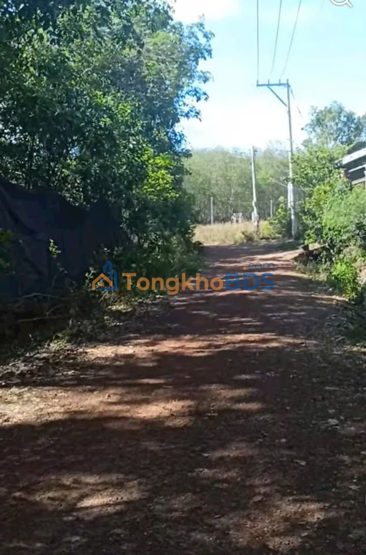 Bán Gấp 2 Nền Liền Kề Sổ Hồng Riêng Xã An Linh, Phú Giáo - 600m²/Nền