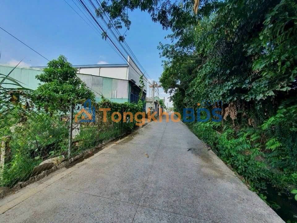 Bán Nhà Vườn 243m² Nguyễn Chí Thanh, Q5 - Giá 6.5 Tỷ, Sẵn Sàng Ở Ngay