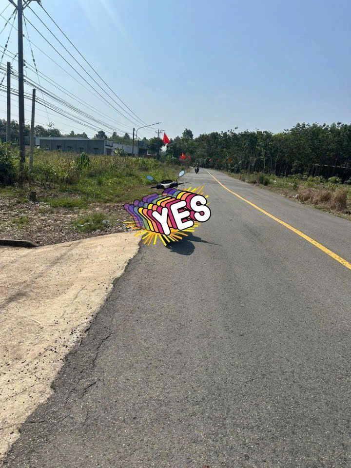 Đất Vườn Phú Giáo Bình Dương 3.5ha - Mặt Tiền DH506, Giá 1.7 Tỷ