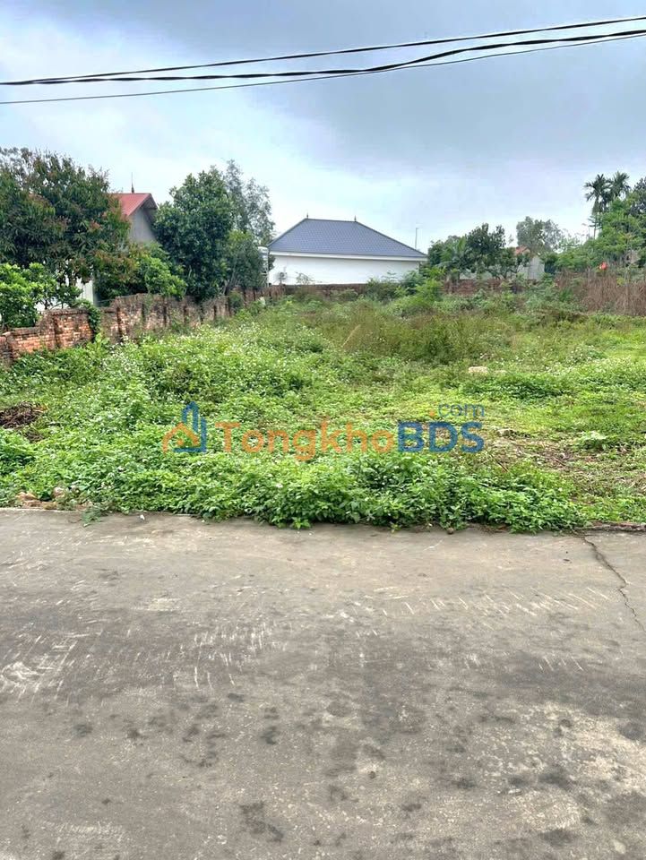 Đất Nền 242m² TDP Tam Sơn, Bắc Giang - Giá Đầu Tư Chỉ Từ 1.x Tỷ