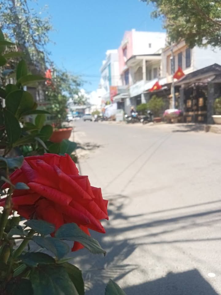 Nhà Mặt Tiền Ngô Gia Tự, Đức Trọng 75m² Kinh Doanh Sầm Uất - Giá 7 Tỷ