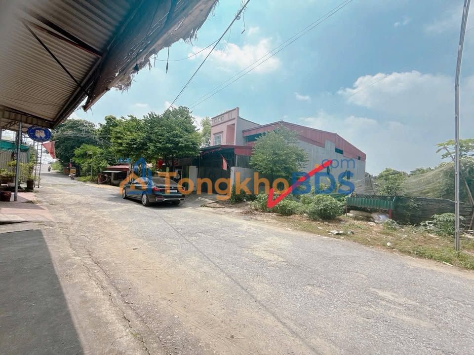 Đất nền 125m² Lâm Thao, Phú Thọ - Mặt tiền kinh doanh tốt