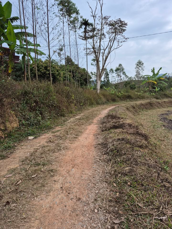 Bán Gấp Đất Đồng Vương, Yên Thế 332m² Sổ Đỏ - Giá Chỉ Nhỉnh 400 Triệu