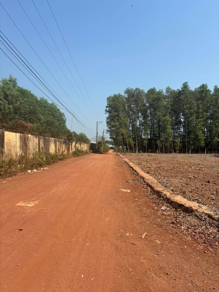 Bán Gấp 2 Lô Đất Sổ Hồng 83m² Đường Xe Tải Tại Trảng Bom, Đồng Nai - Giá 1.05 Tỷ/Lô