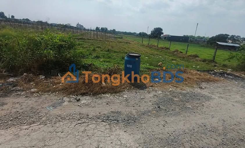 Bán Đất Nền Sổ Hồng Riêng 120m² Mỹ Hạnh Nam, Đức Hòa - Giá 1.65 Tỷ