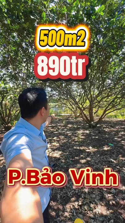 Bán Gấp Vườn Bưởi 500m² Song Mặt Tiền, P.1 Long Khánh - Sổ Hồng Sẵn Sàng