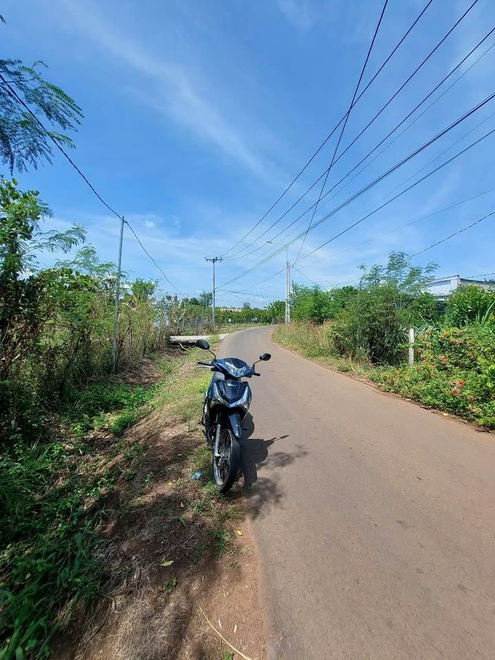 Đất Vườn Thanh Long 7200m² Mặt Tiền 24m Phường Bảo Vinh, Long Khánh - Sổ Hồng Riêng 2.1 Tỷ