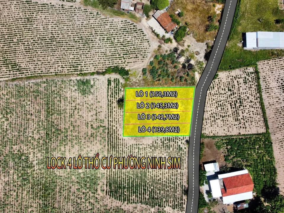 Đất nền Ninh Sim - 5 Lô Sổ Đỏ Riêng, Giá chỉ 199 triệu/lô