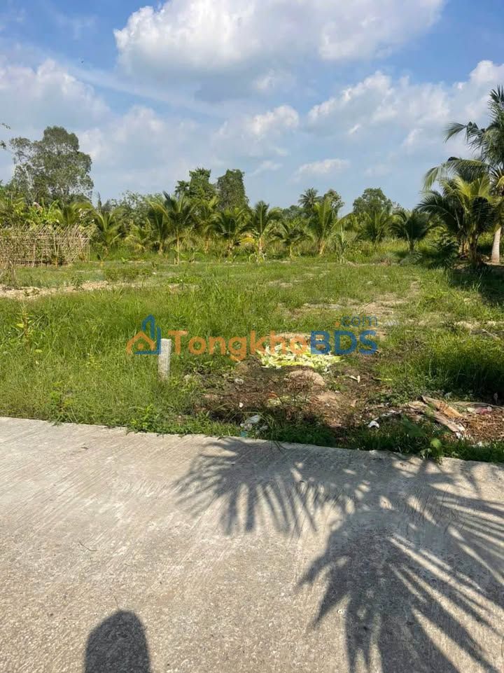 Bán Nền 156m² Lộ Đal Bình Minh, Vĩnh Long - Sổ Hồng Full Thổ Cư