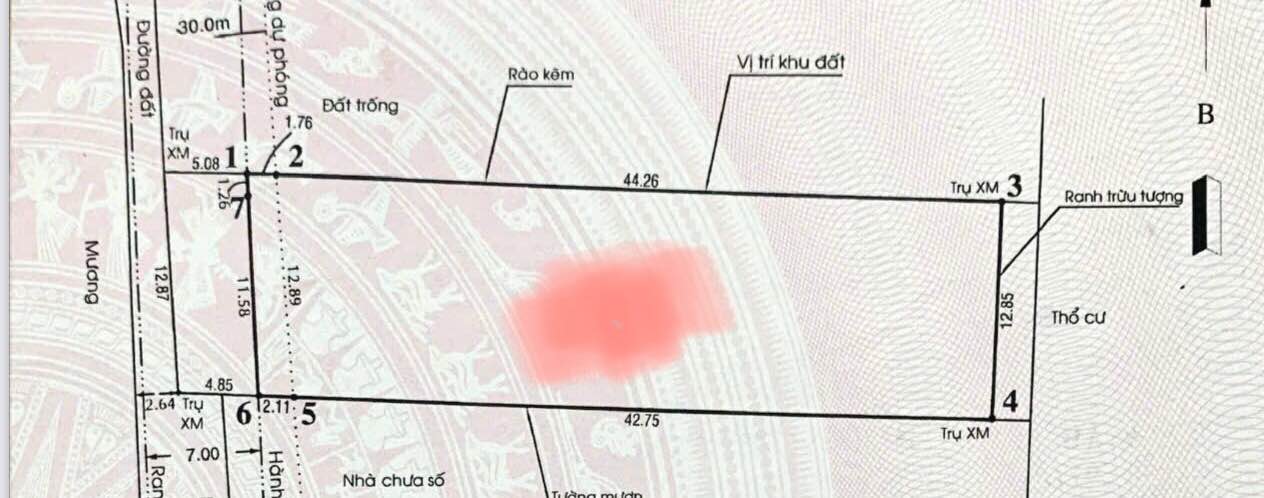 Đất Mặt Phố Thạnh Xuân Q12 - 585m² Full Thổ Cư, Tiềm Năng Mở Rộng 30m