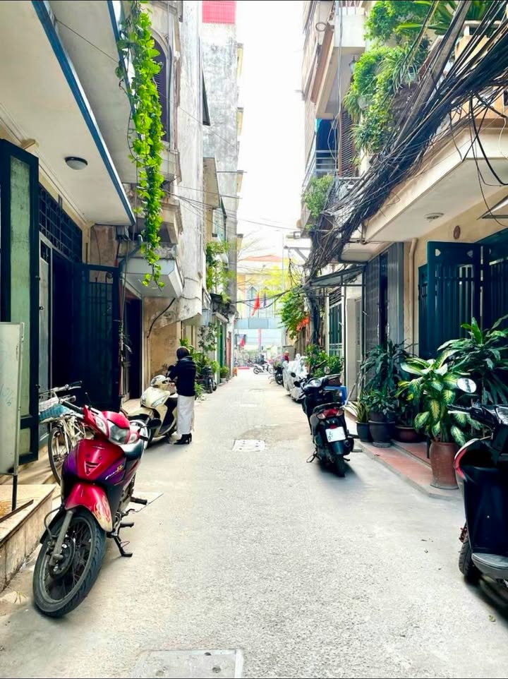 Cho thuê CHDV Tôn Đức Thắng 66m² - Dòng tiền 600tr/năm - 14.5 tỷ