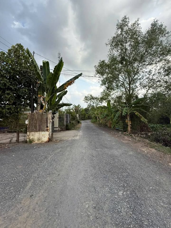 Bán Nền Góc 2 Mặt Tiền Phường 8, Vĩnh Long - 110m² Sổ Đỏ