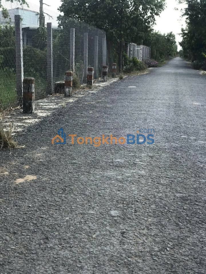 Bán Nền Biệt Thự 563m² Full Thổ Cư - P. Tân Ngãi, Vĩnh Long - Giá Tốt