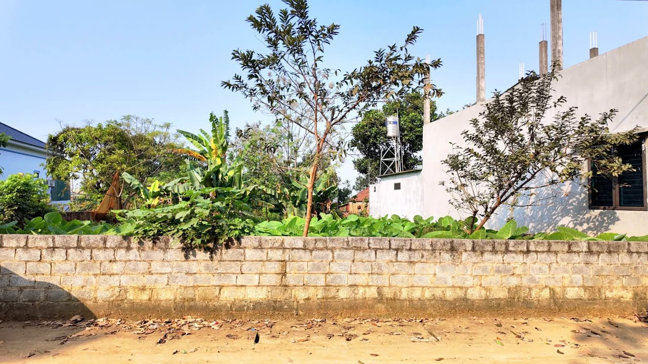 Đất Vườn Quốc Oai 736m² Sổ Hồng Chính Chủ - Nghỉ Dưỡng Lý Tưởng