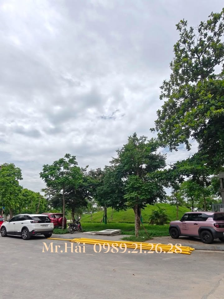 Nhà Phố Bồ Đề 115m² - Trung Tâm Long Biên, Kinh Doanh Đỉnh Cao