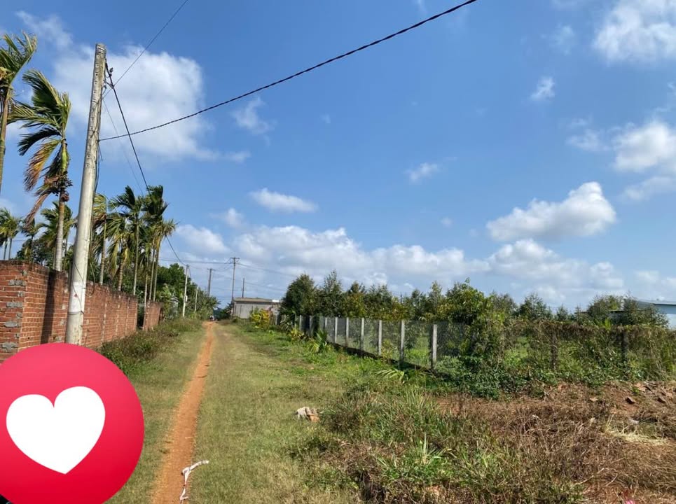 Đất nền Sổ Hồng Buôn Epan, Đắk Lắk - 156m² Giá Tốt