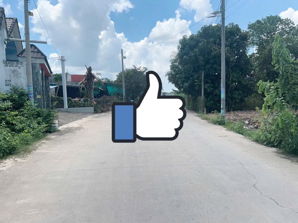 Đất Thổ Cư Sổ Hồng Riêng 160m² Mỹ Hạnh Nam, Đức Hòa - Giá 1.15 Tỷ