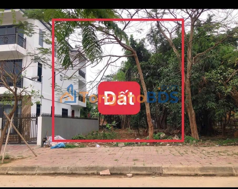 Đất nền Vĩnh Phúc 200m² - Mặt tiền 12.5m tại Nam Đầm Vạc, Vĩnh Yên