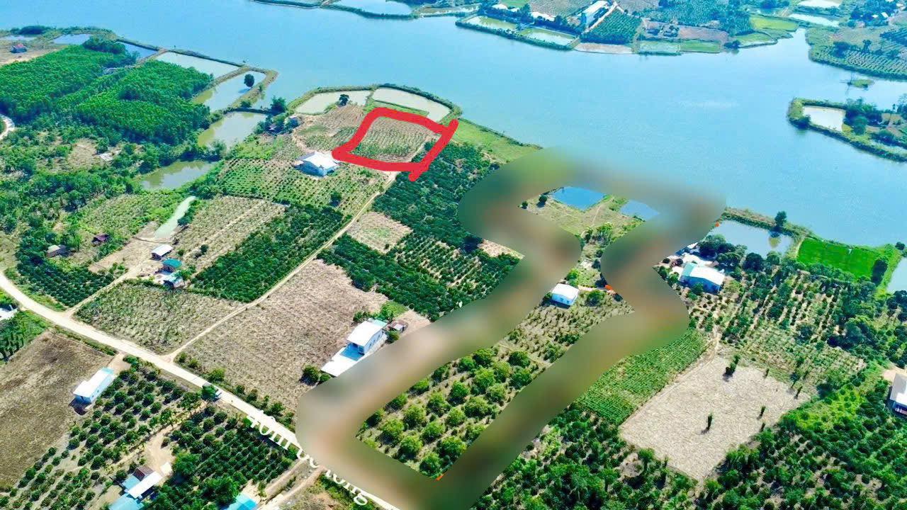 Đất Nền 4500m² Xuân Phú, Đắk Lắk - View Hồ Thơ Mộng, Sổ Hồng Riêng