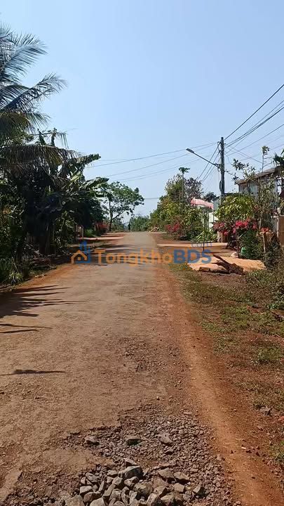 Mặt Tiền Kinh Doanh Đường Trần Cảnh, Buôn Đôn - 280m² Giá 2.45 Tỷ