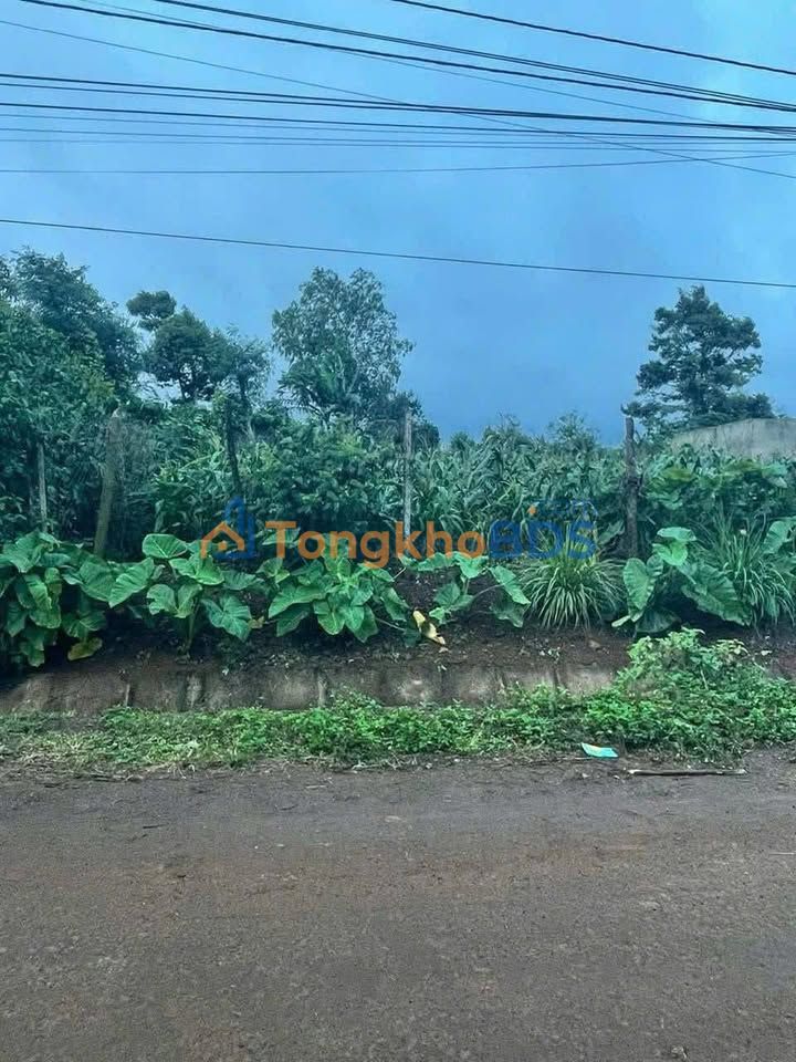 Đất Mặt Tiền Lý Chính Thắng Buôn Hồ 260m² - Sổ Đỏ Thổ Cư Giá 585 Triệu