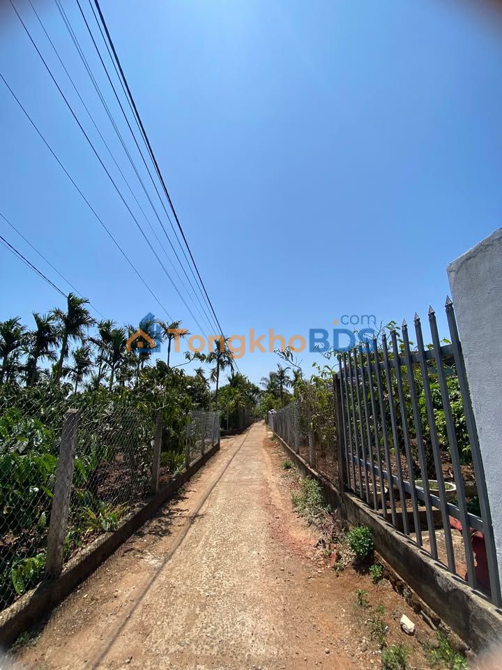 Mặt Tiền Lý Tự Trọng Buôn Hồ 176m² - Kinh Doanh Đắc Lợi