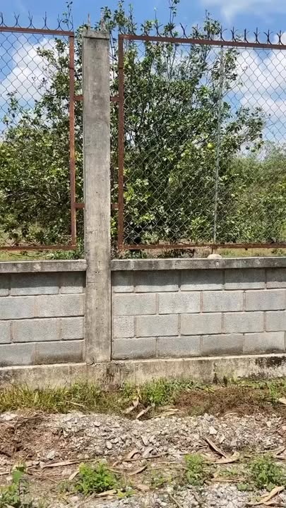 Bán Đất Vườn 3600m² Mặt Tiền Lớn Tại Bàu Bàng, Bình Dương - Giá 1 Tỷ