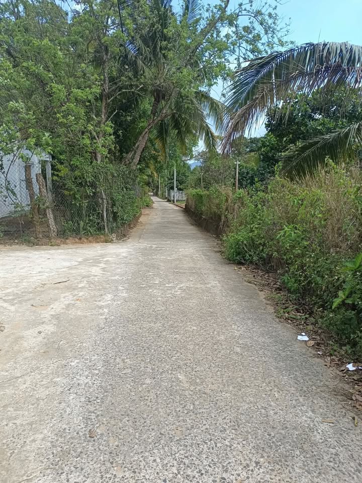 Đất Vườn Suối Mây Phú Quốc 517m² - Sổ Đỏ Rõ Ràng