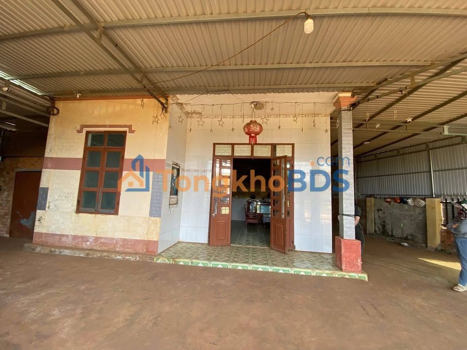 Đất nền Đắk Mil 120m² - Hai mặt tiền đường Xuân Thành, Đức Minh