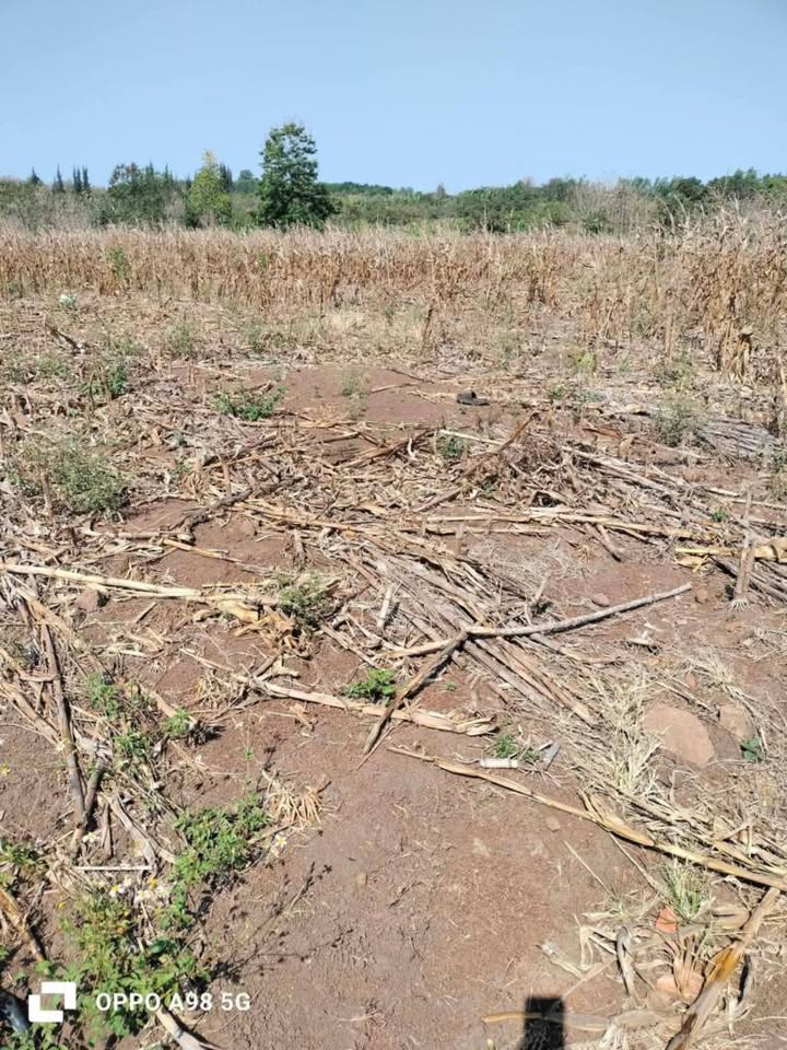 Đất Nền Đắk Lắk 9000m² - Sổ Hồng Chính Chủ, Giá 799 Triệu