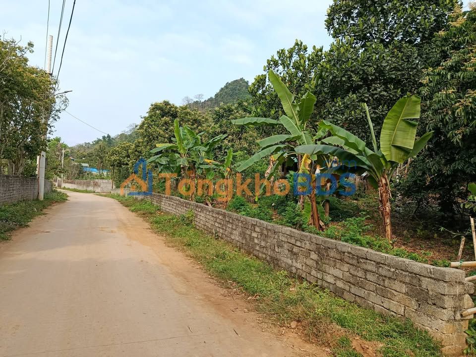 Bán 3000m² Đất Vườn Phường Kỳ Sơn, TP Hòa Bình - Sổ Đỏ Rõ Ràng